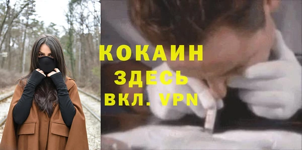 мяу мяу мука Аркадак