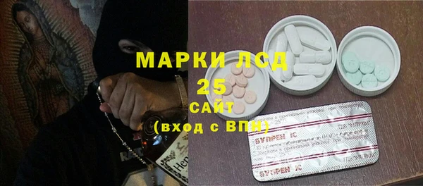 мяу мяу мука Аркадак