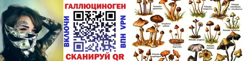 где продают наркотики гидра ТОР Галлюциногенные грибы Magic Shrooms Павлово